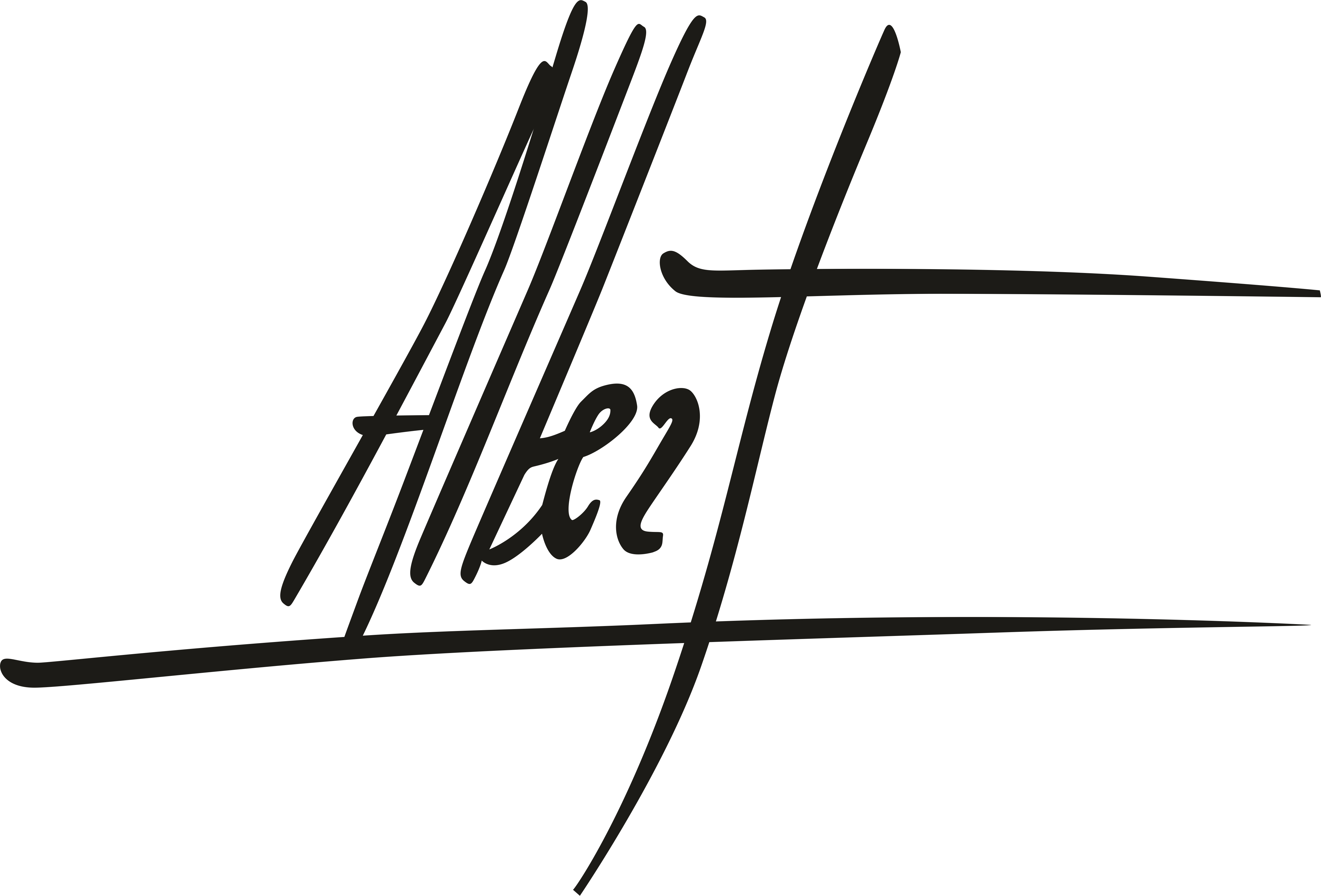 ALBERT SESMA